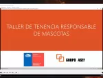 Grupo ASEF - Proyectos