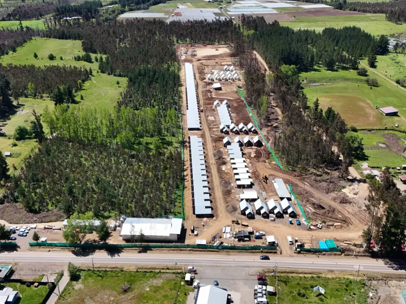 Grupo ASEF - CNT Los Kiwis