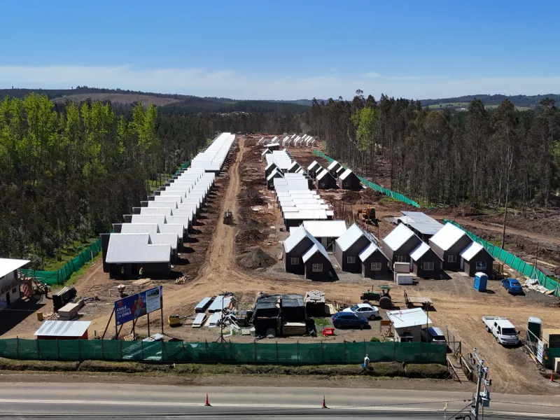 Grupo ASEF - CNT Los Kiwis