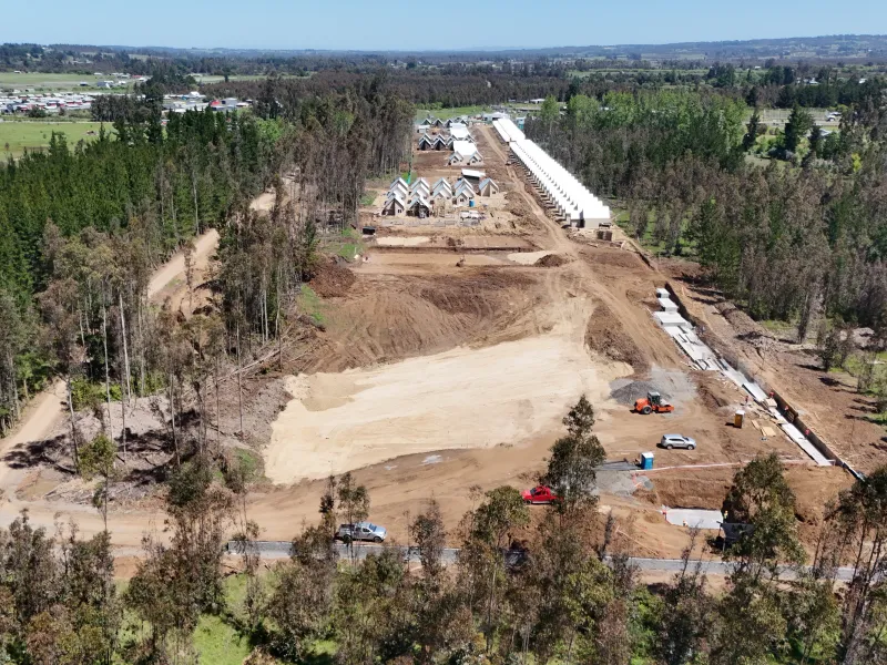 Grupo ASEF - CNT Los Kiwis