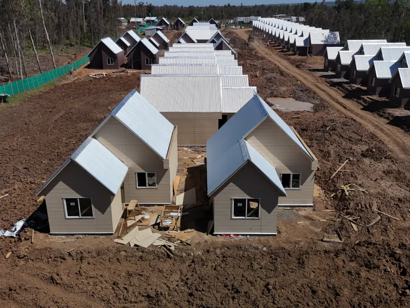 Grupo ASEF - CNT Los Kiwis