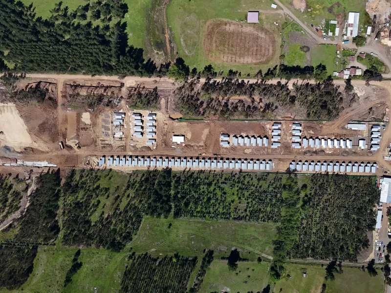 Grupo ASEF - CNT Los Kiwis